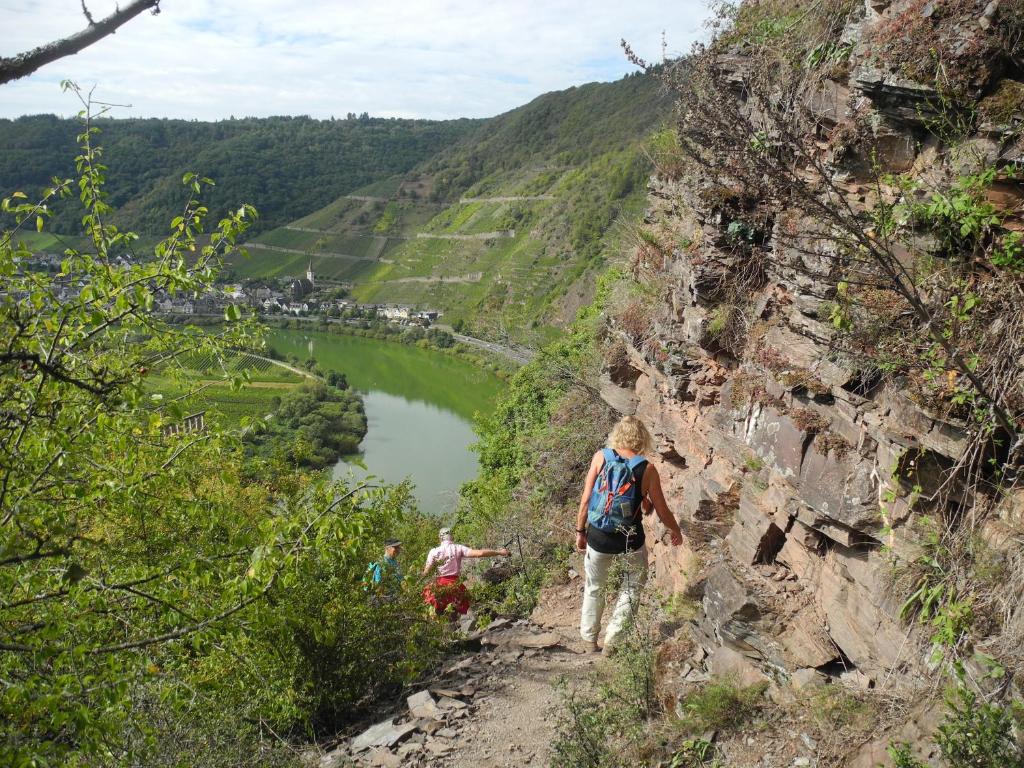 Weingut Pension Hammes-Krüger photo 2