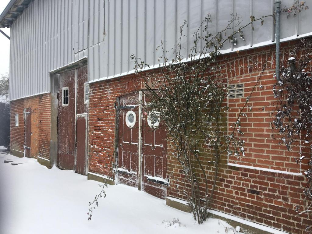 Ferienhof Schulz photo 3