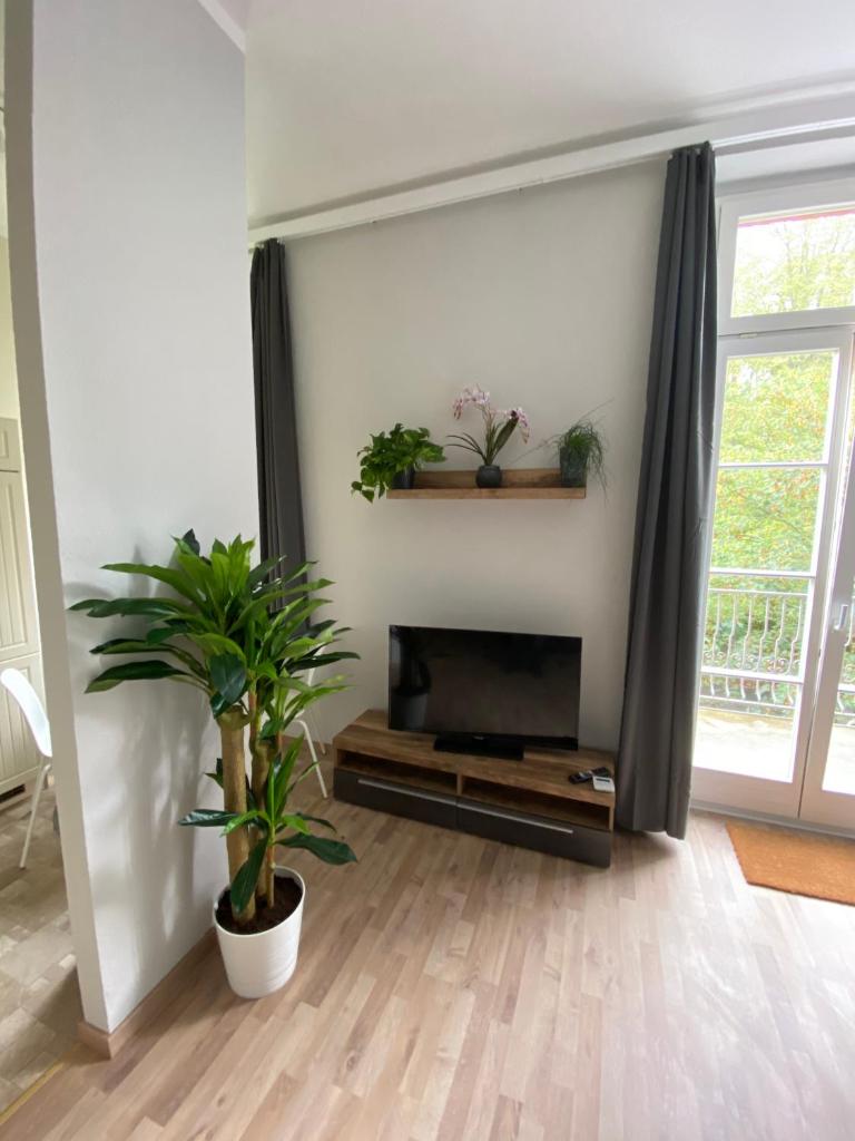 Ferienwohnung König Georg photo 4