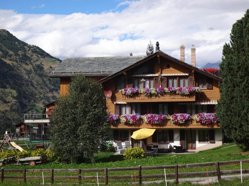 Chalet Petunia photo 1
