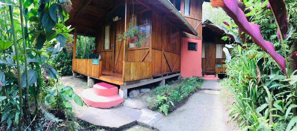 Cabañas Armonía y Jardín de Orquídeas photo 2