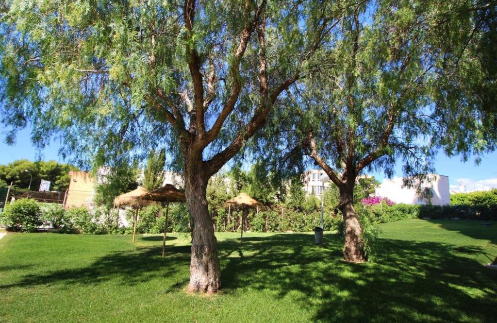 SweetWater Home - Apartamento ideal para tus vacaciones photo 3