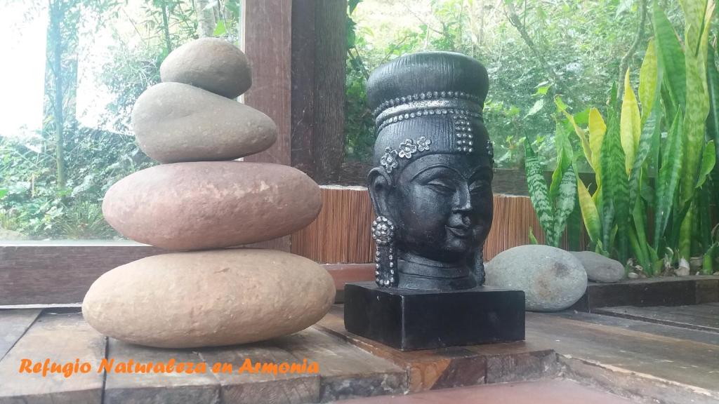 Naturaleza en armonia photo 1