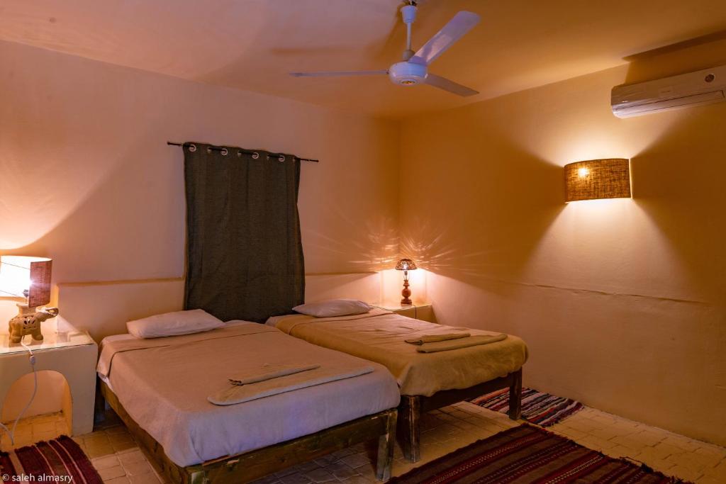 Siwa Shali Resort photo 4