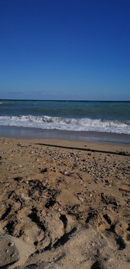 Apartamento entero en la playa san juan Benacantil photo 1