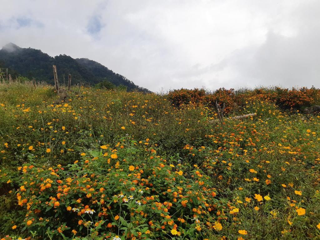 Yourhome Mai Chau