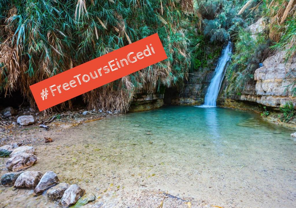 Ein Gedi Kibbutz Hotel photo 3