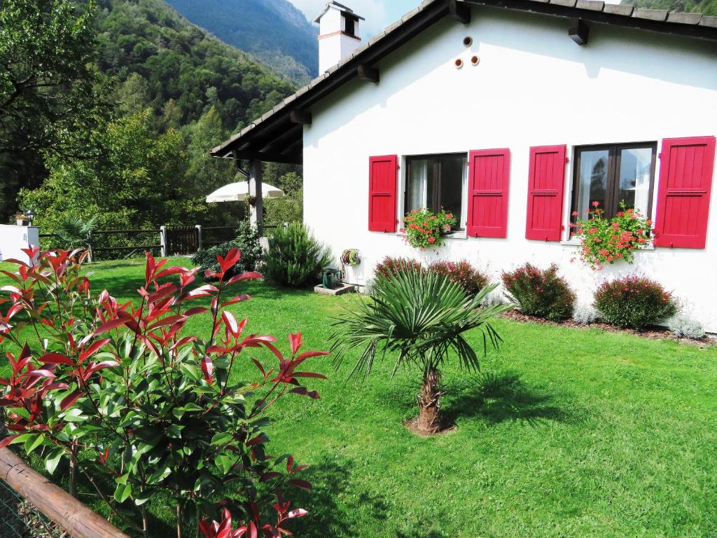 Casa Marco photo 3