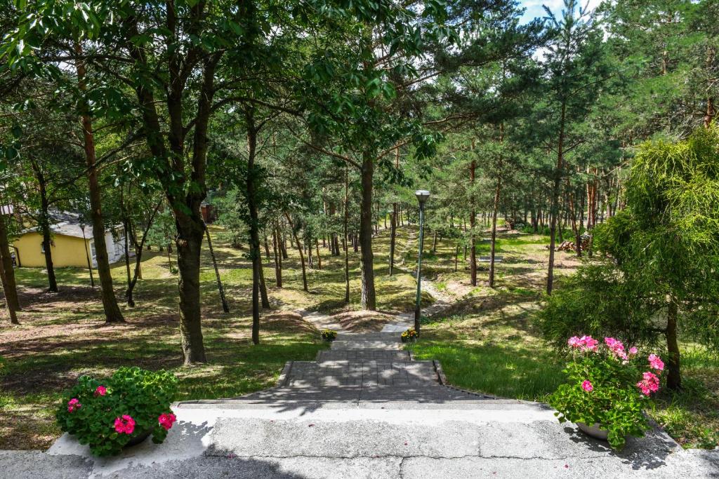 KAMION Ośrodek Wypoczynkowy photo 1