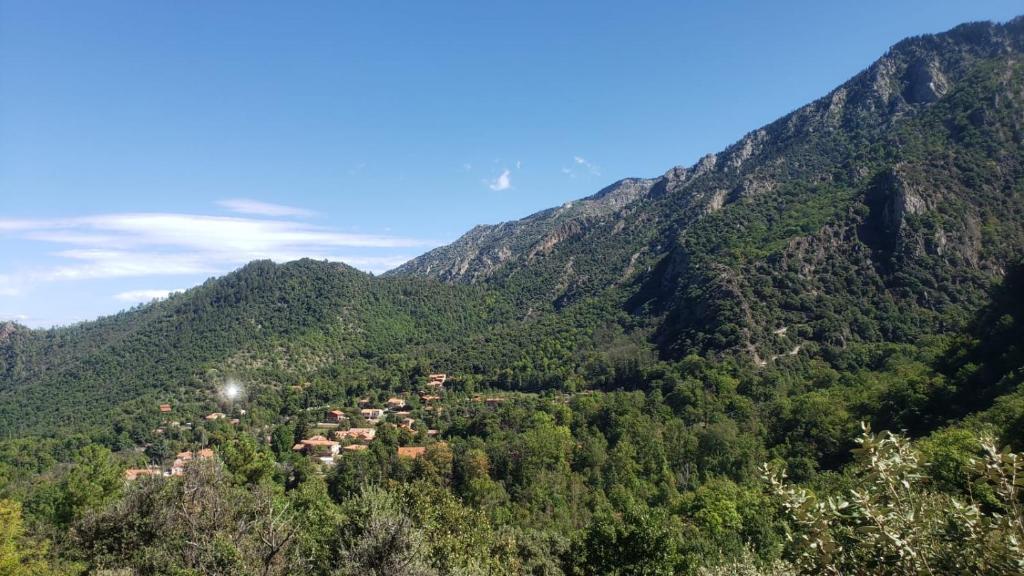 La Pommeraie photo 1