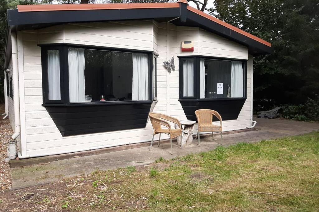 Chalet "de Hazelnoot" te Diever photo 2
