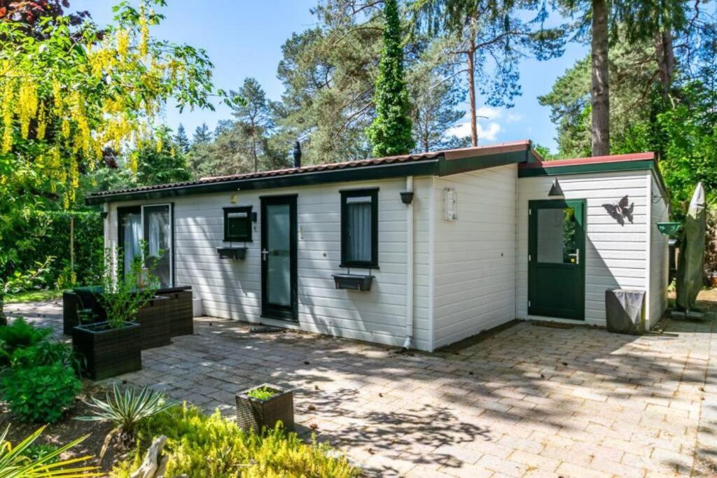 Chalet "de Hazelnoot" te Diever photo 3