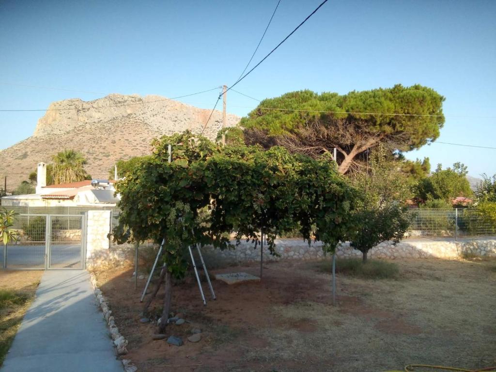 Demi's house photo 1