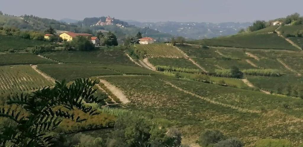 Il Giardino di Mai Exclusive B&b photo 4