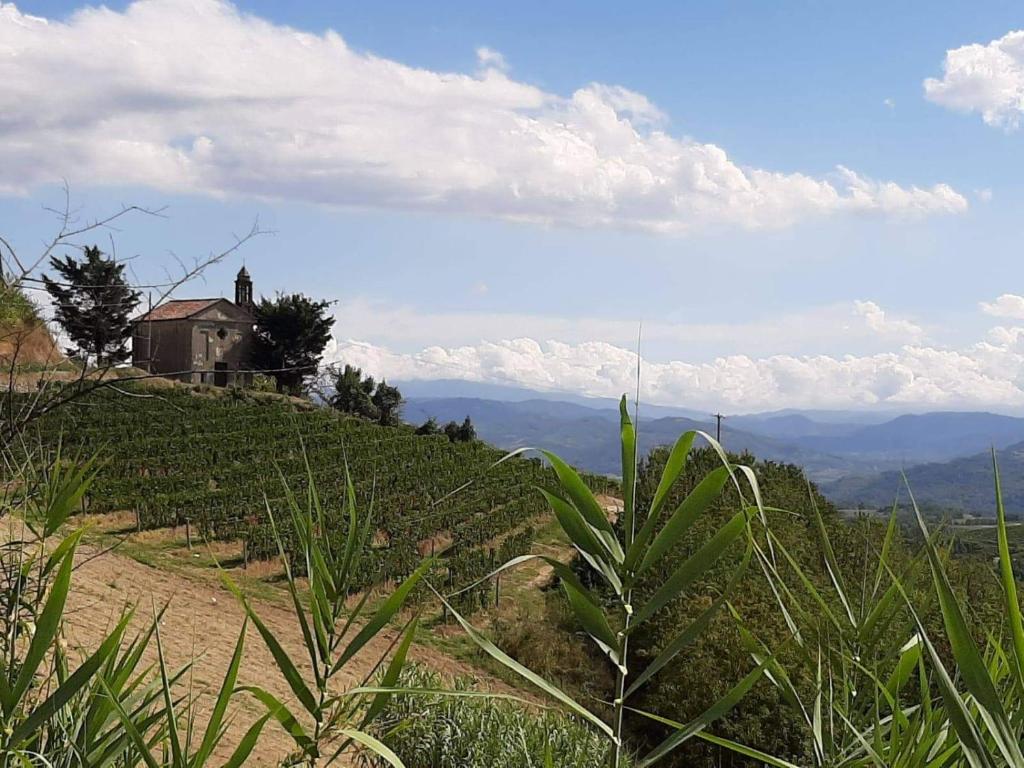 Il Giardino di Mai Exclusive B&b photo 2