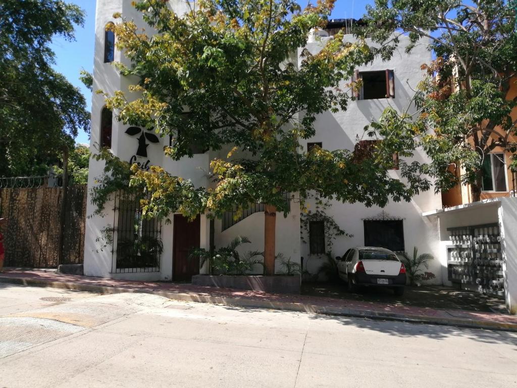 Ceiba Studios photo 1
