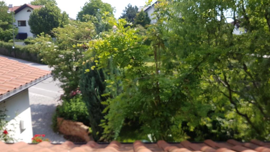 Gastezimmer Nahe Wesslinger See photo 1