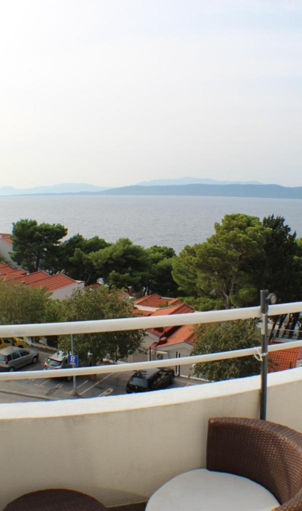 A3 Mesic photo 3