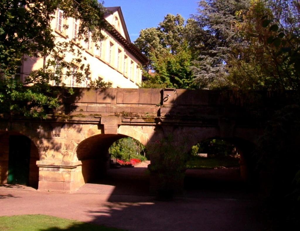Kurpark-Residenz Deidesheim photo 2