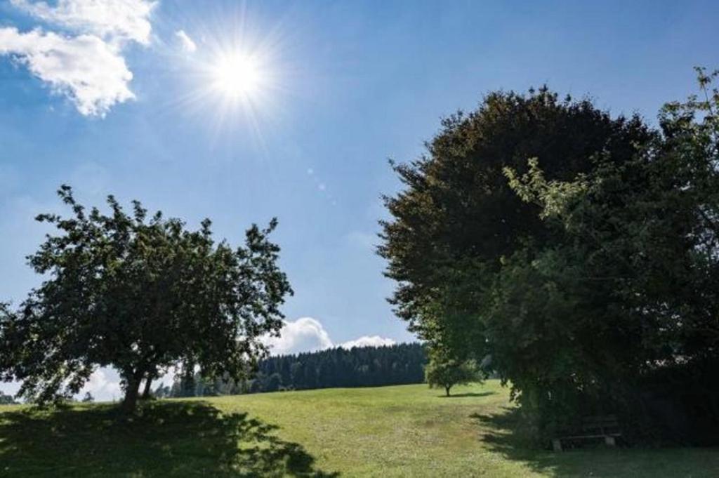 Ferienwohnungen Schweinberger Mühle photo 4