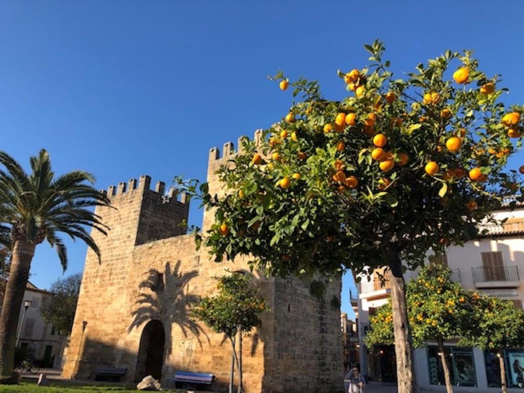 Casa Sa Pedra, en el Centro Histórico de Alcudia - Tap to explore photos