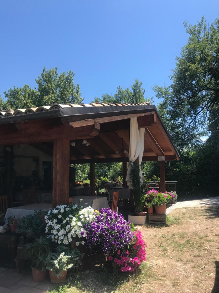 Country House Antiche Dimore photo 1