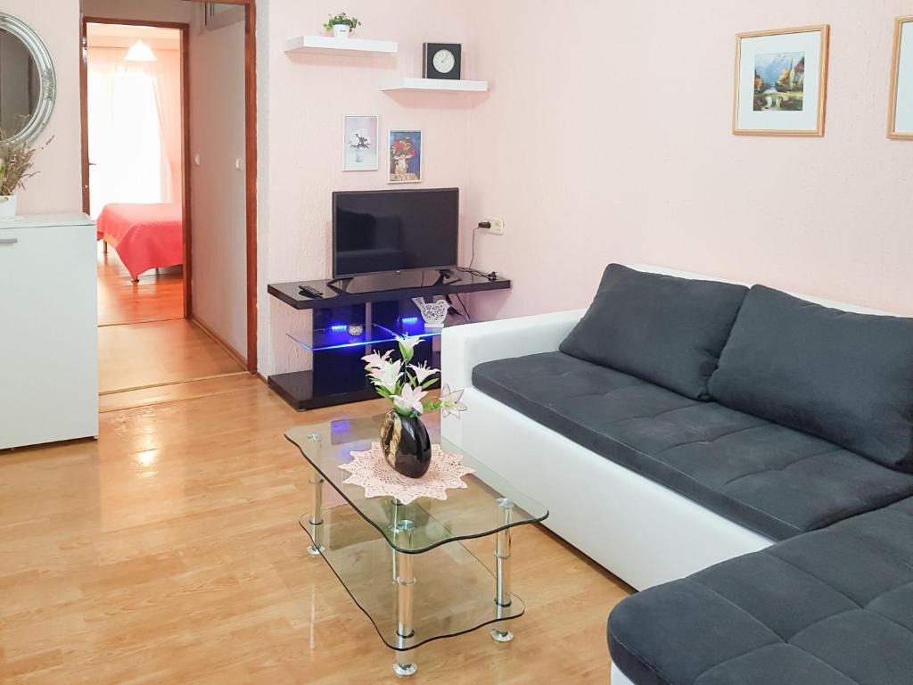 Apartment Danica-1 by Interhome photo 1