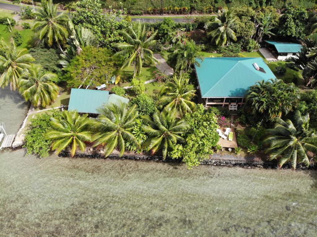 Fare Vahine Oviri - 1048DTO-MT photo 4