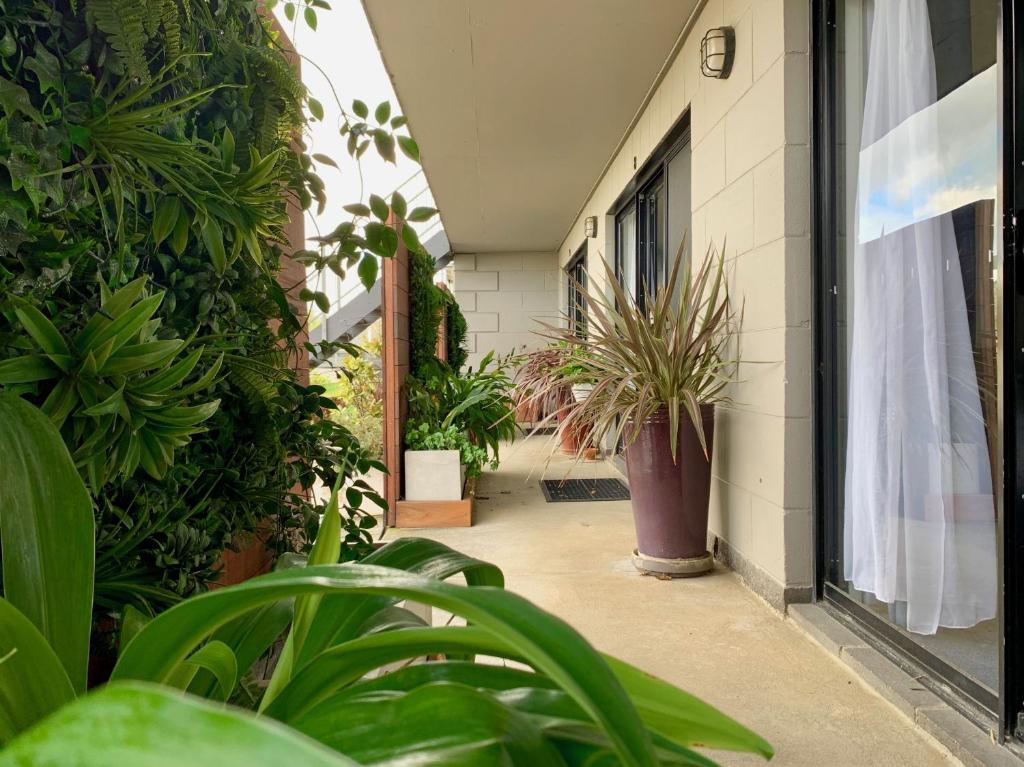 Apollo Bay Waterfront Motor Inn photo 4
