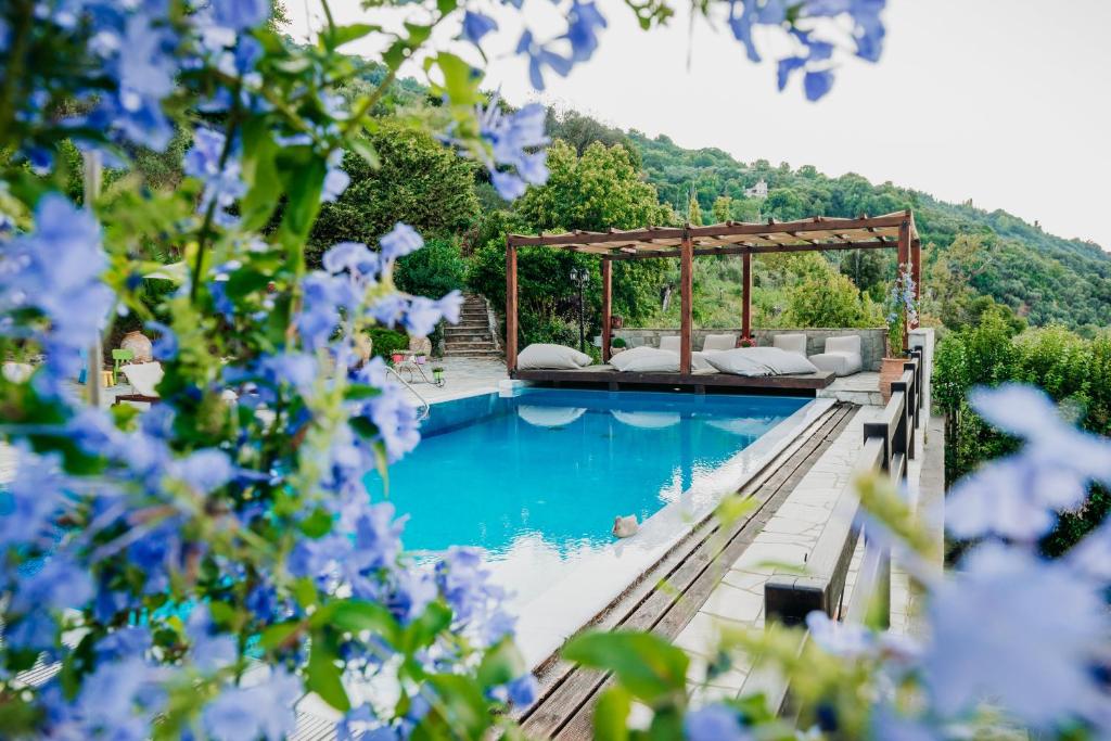 Elysian Luxury Villa Pelion photo 2