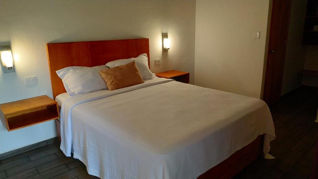 HOTEL ANTHURIUM photo 3