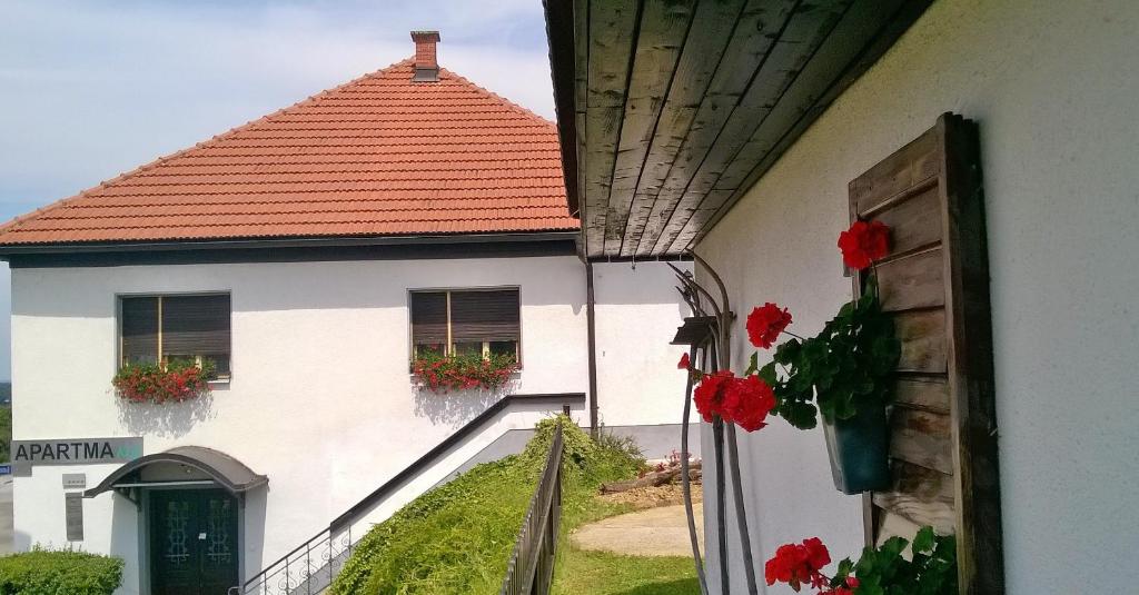 POČITNIŠKA HIŠA KOG photo 4