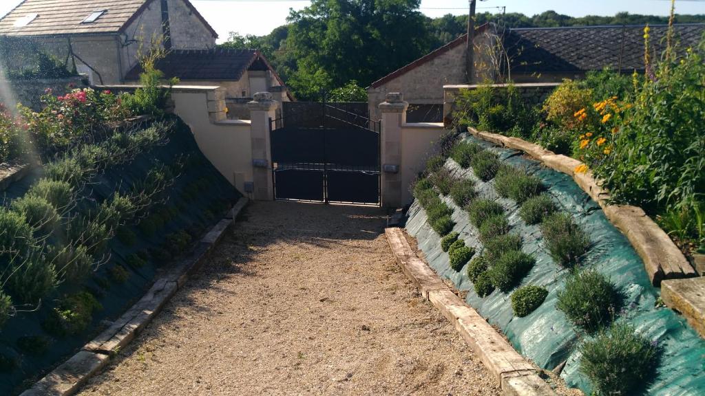 Le Germoir photo 3
