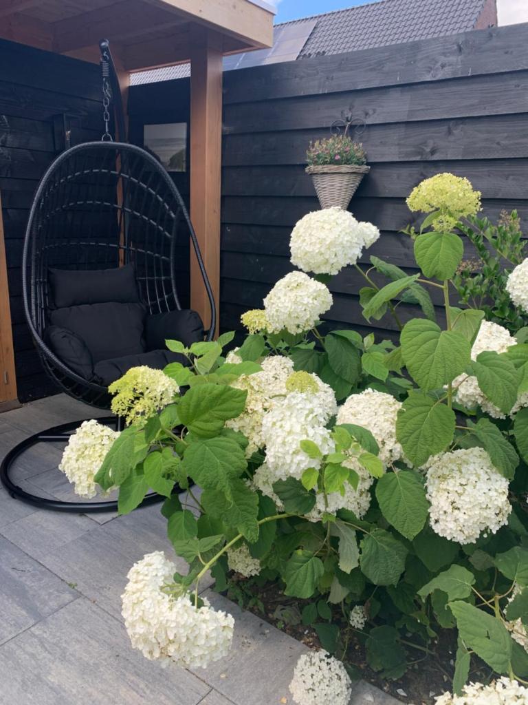 Logies Zen & Zilt Veere photo 4