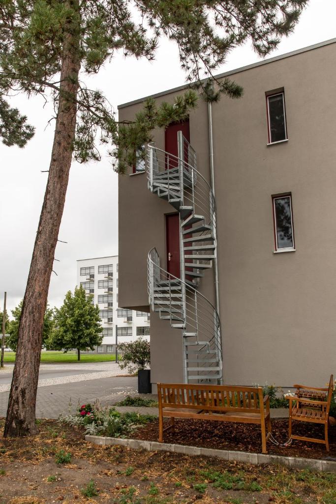 Appartements am Bauhaus photo 4