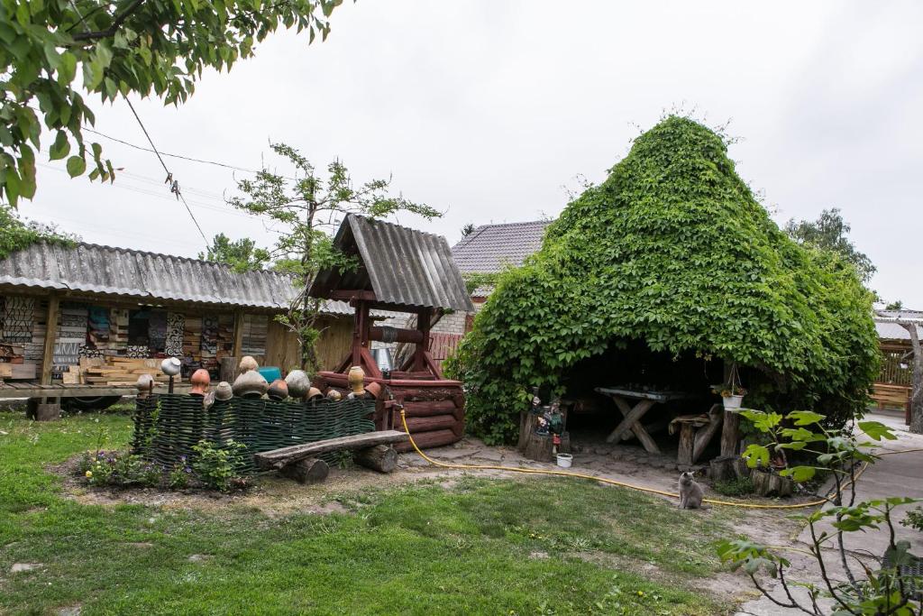 Садиба зеленого туризму «Золота рибка» photo 4