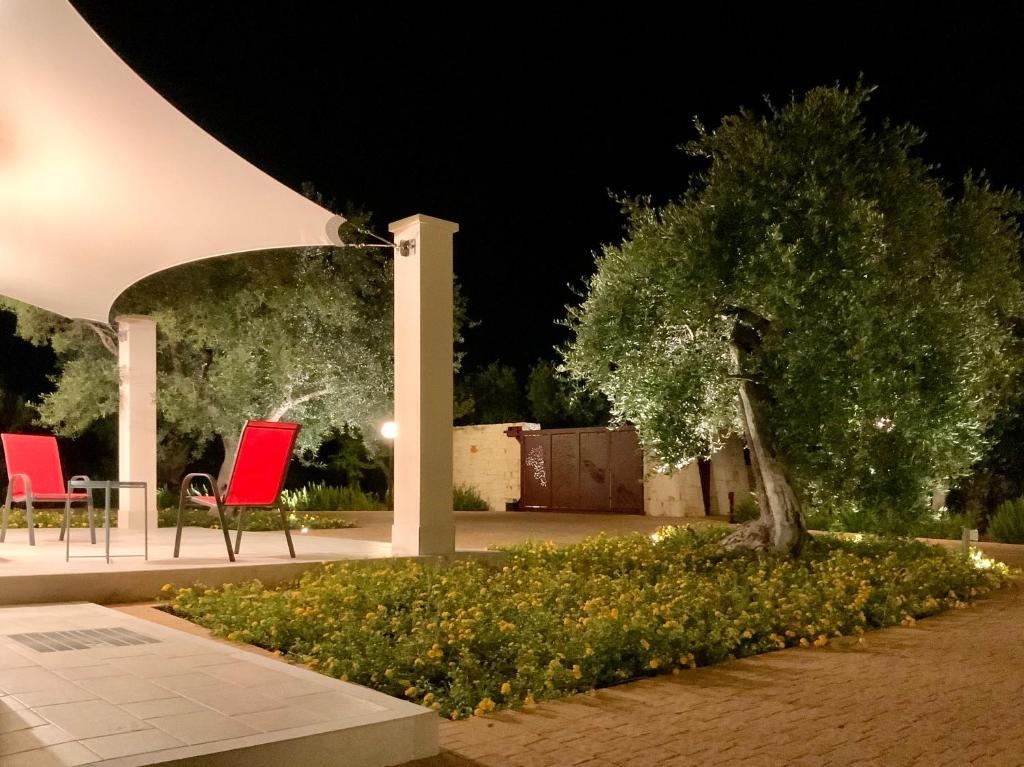Tra gli ulivi photo 3