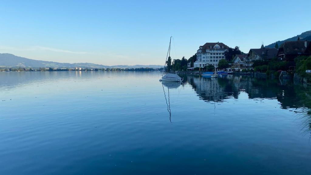Hotel Restaurant Bellevue au Lac photo 1