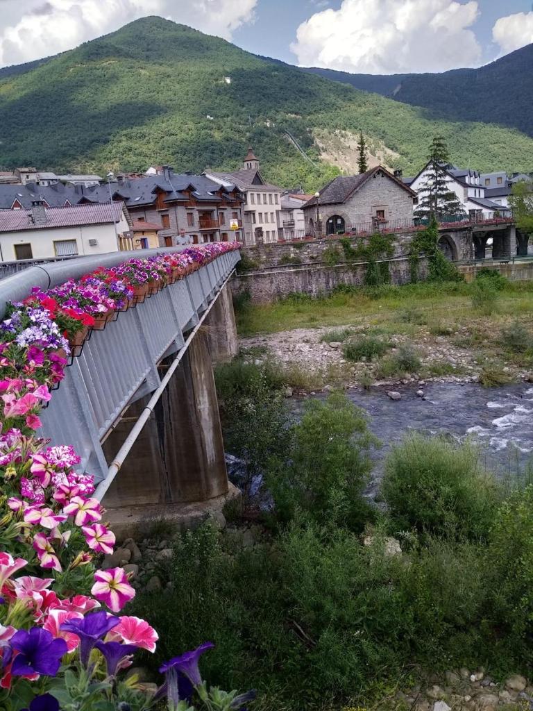 BIESCAS-PIRINEO-RELAX photo 3