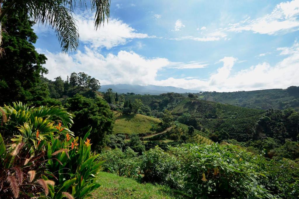 Supercostarica photo 3