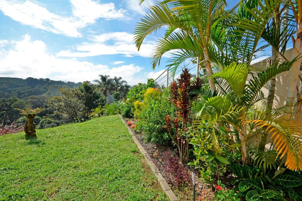 Supercostarica photo 2