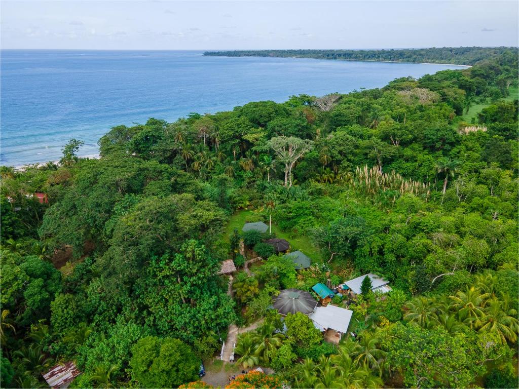 Bungalows Aché Cahuita photo 2