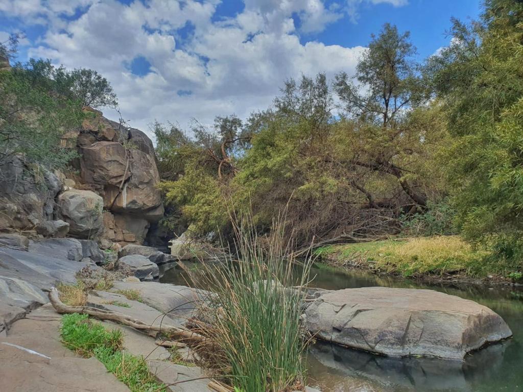 Vrede Fountain House Farm Stay photo 4