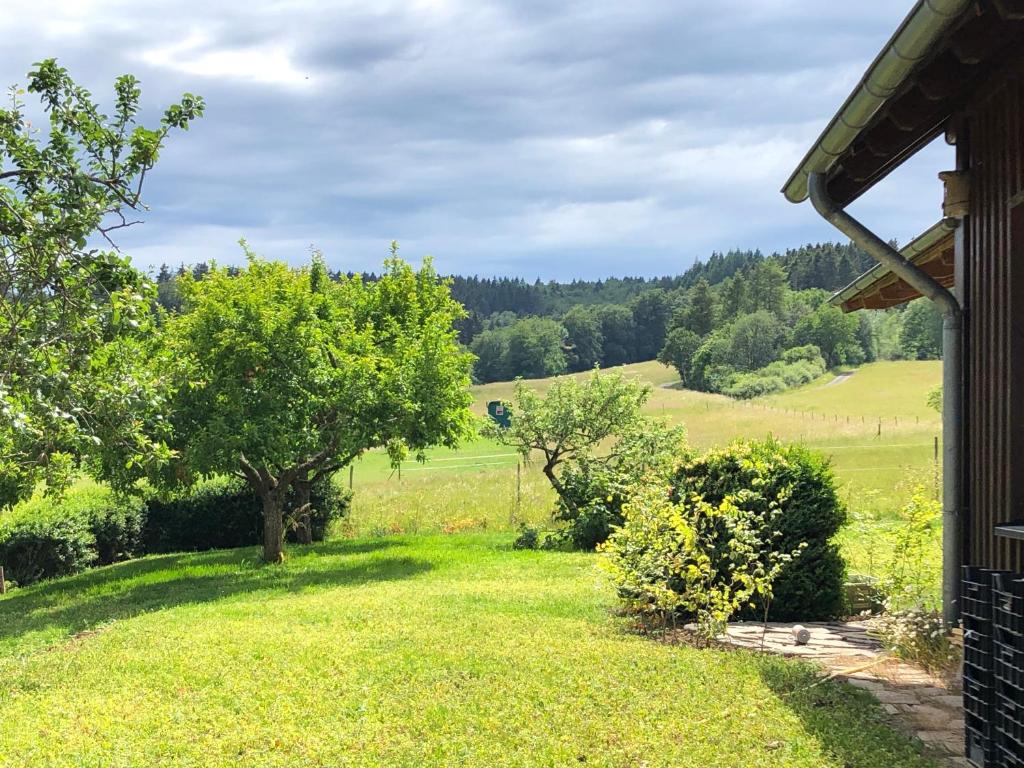 Waldhaus-Vulkaneifel photo 3