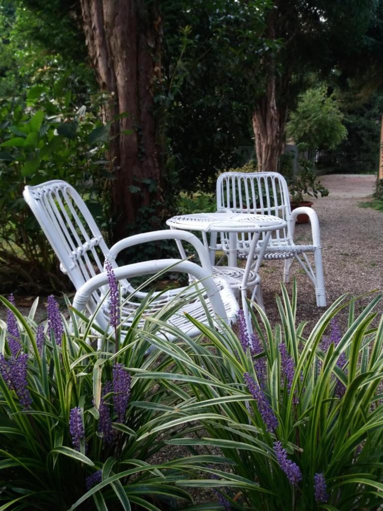 B&B il Cortile Malpensa photo 1