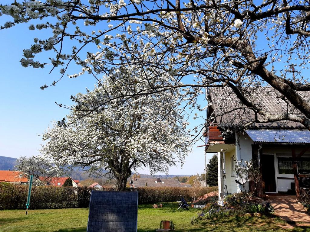 Albblick photo 1