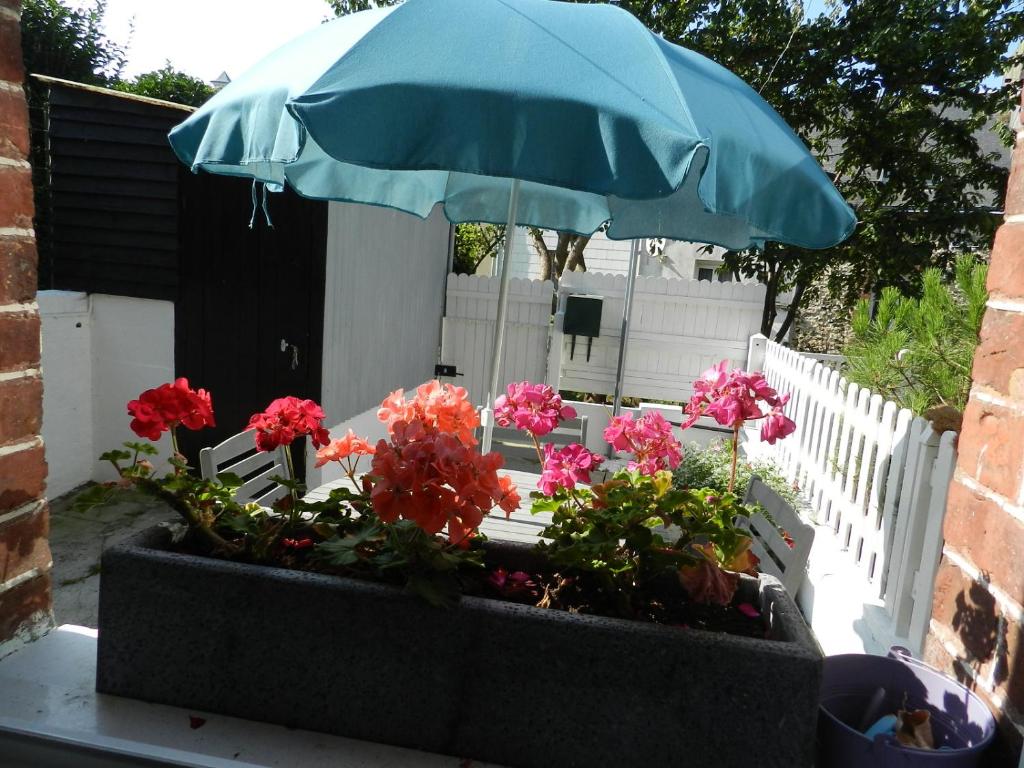 La maison bleue photo 1