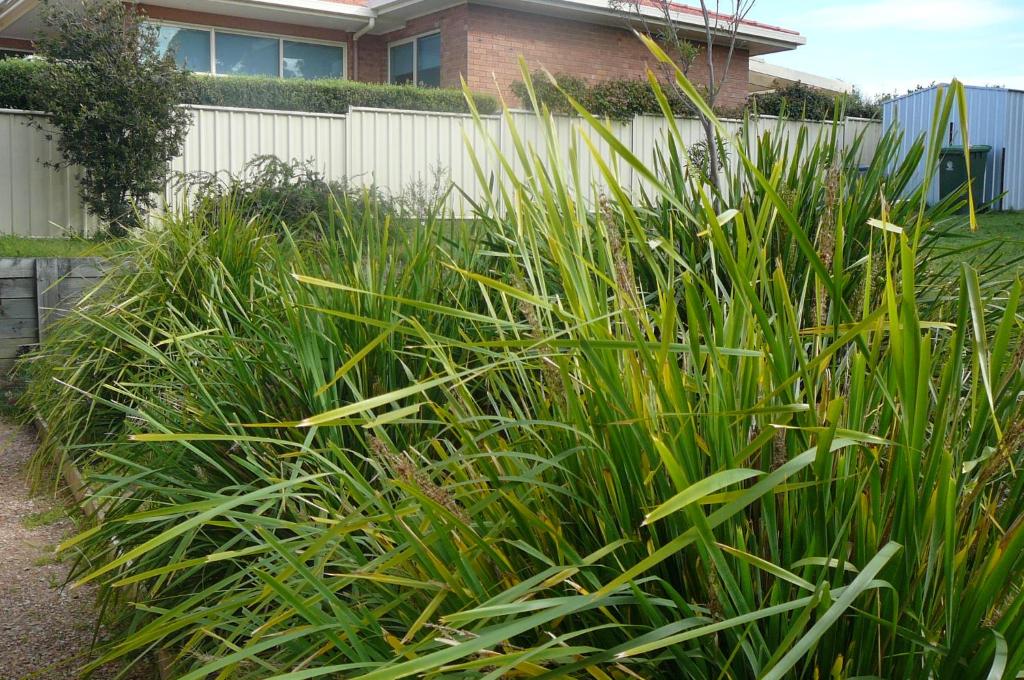 Banksia Waters photo 4