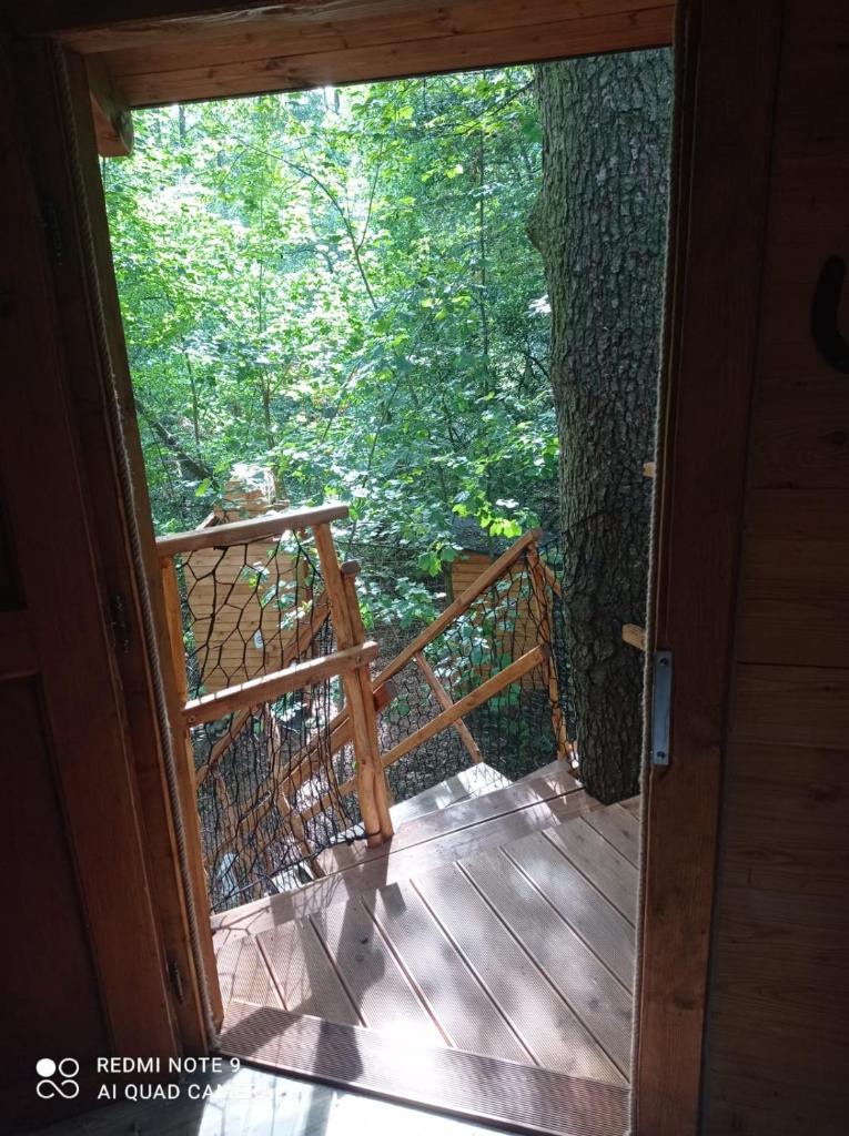 Treehouse v Brdech photo 1