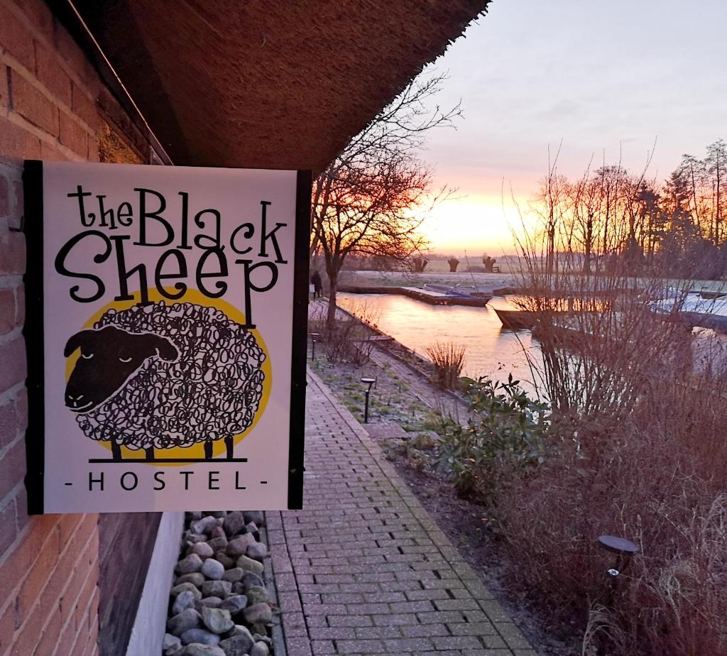 The Black Sheep Hostel photo 3